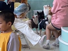 -怪兽屋·羊驼·猫咖·狗咖(俊华广场店)