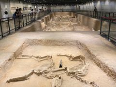 -洛阳周王城天子驾六博物馆