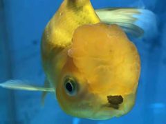 -北戴河圣蓝海洋公园