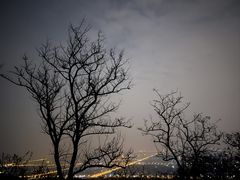 -北京西山国家森林公园