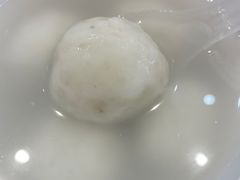 -海丝金凤(金鱼店)