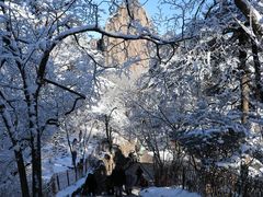-黄山风景区