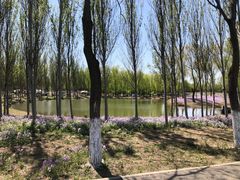 -东郊湿地公园