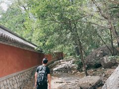 -阳台山自然风景区