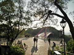 -金鸡山公园