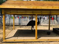 -长白岛森林公园