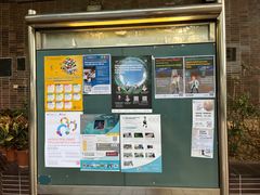 -香港大学