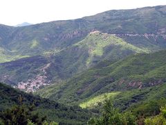 -阳台山自然风景区