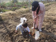 -徐汇区新宜幼稚园