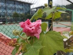 -中国移动南方基地