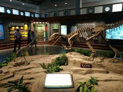 -自贡恐龙博物馆