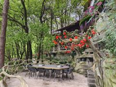 -巴倒烫陆派火锅山庄(南山总店)