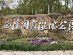 -西溪国家湿地公园