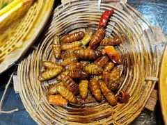 -昆虫窝子·特色云南菜(拓东路总店)