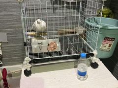 -谜·沉浸侦探剧本杀推理馆(静安店)