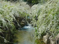 -中国茶叶博物馆(双峰馆区)
