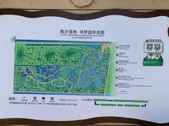 -大湾区中央湿地公园