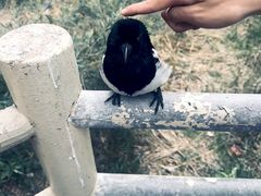 -无锡动物园·太湖欢乐园