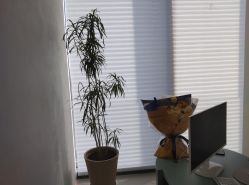 -颜蕾医美·黄金微针·水光·玻尿酸·超声炮·抗衰中心