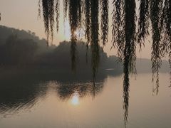-河北省园博园