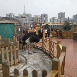 点击看大图 -三分地生态园·儿童乐园