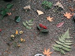 -山王坪喀斯特国家生态公园