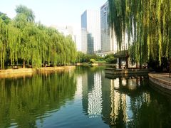 -团结湖公园