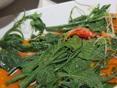 -杨氏青龙虾·羊蝎子(金盛路总店)