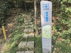 -火炉山森林公园