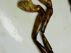 -莫华(锦绣趣园北街店)