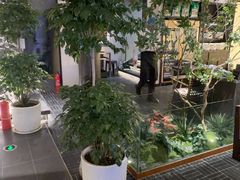 -杏花村水席楼·洛阳水席(老城十字街店)