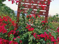 -语堂故居