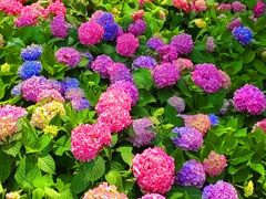 -金银湖国家城市湿地公园
