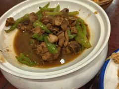 -邵年鸽(杨庄店)