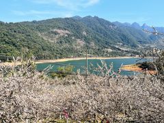 -广州市流溪河国家森林公园