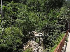 -王顺山国家森林公园