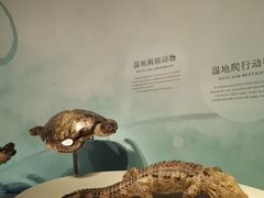 -中国湿地博物馆