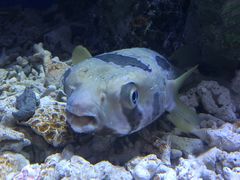 -华夏文旅西安度假区