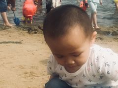 -碧海金沙