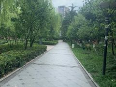 -绵阳人民公园(涪城区)