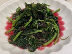 蒜茸苋菜-得月楼·省级非遗·传统苏帮菜(观前店)