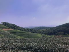 -听风阁农家私房菜茶楼(龙坞店)