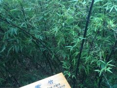 -紫竹院公园冰场