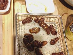 -鸽子窝(青塔店)