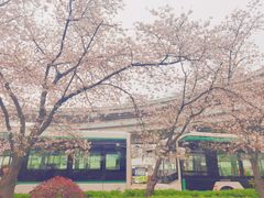 -南浦大桥长途旅游客运站