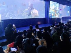-重庆欢乐海底世界