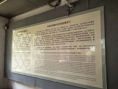 -合浦汉代文化博物馆