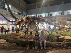 -自贡恐龙博物馆