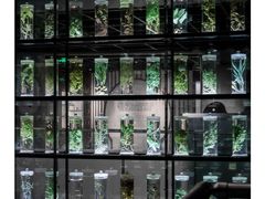 -广东中医药博物馆