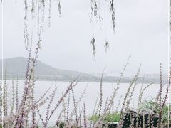 -江阴敔山湖公园